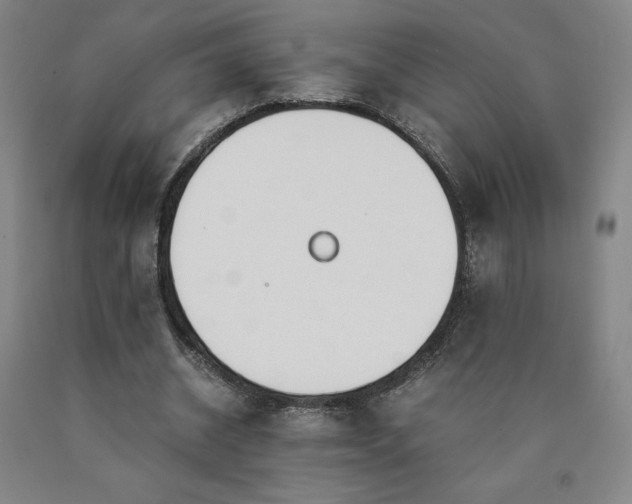 X0000090920534200707301535