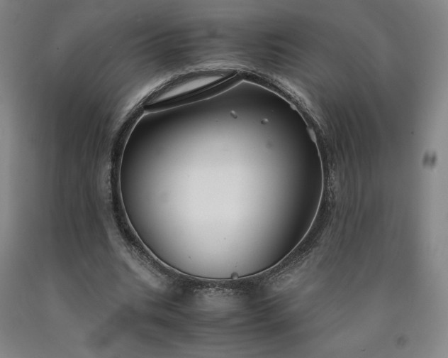 X0000090920535200707301535