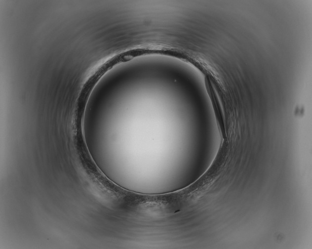 X0000090920536200707301535