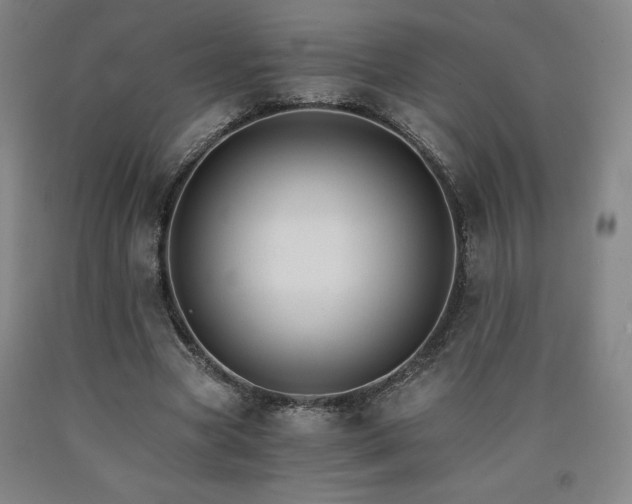 X0000090920537200707301535