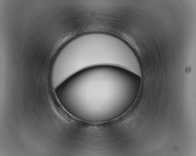 X0000090920538200707301535