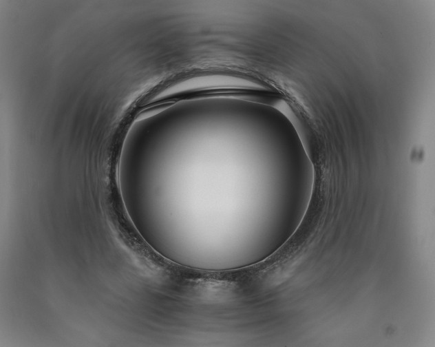 X0000090920539200707301535