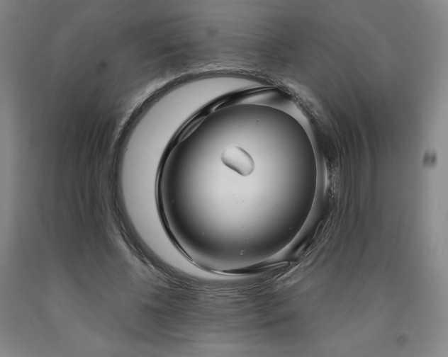 X0000090920540200707301535