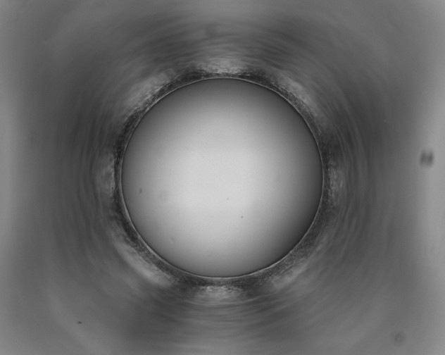 X0000090920541200707301535
