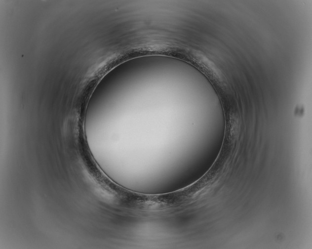 X0000090920542200707301535