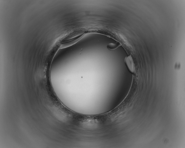 X0000090920543200707301535
