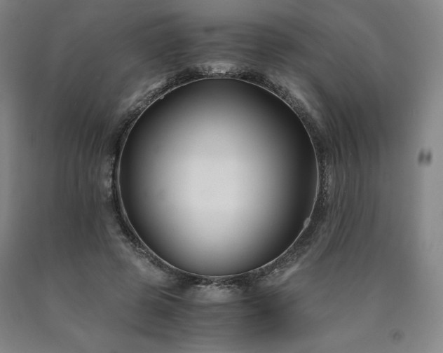 X0000090920545200707301535