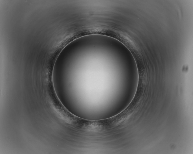 X0000090920546200707301535