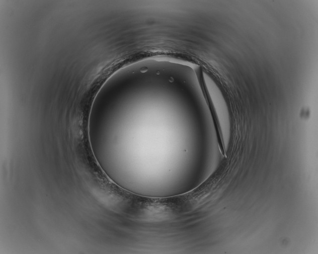 X0000090920547200707301535