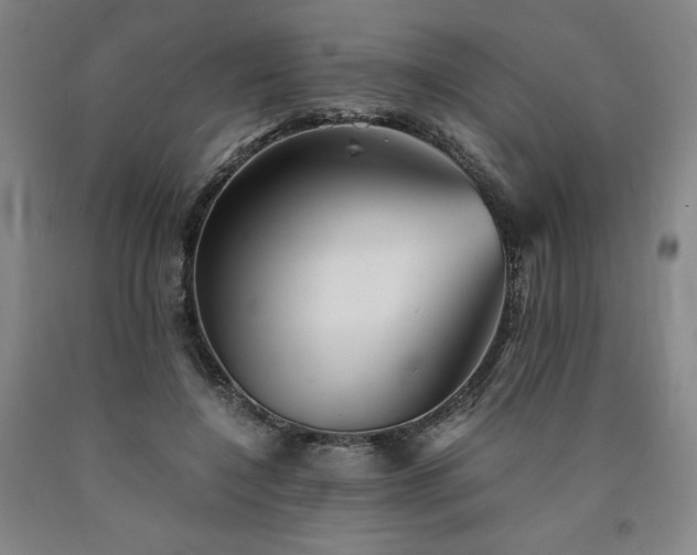 X0000090920548200707301535