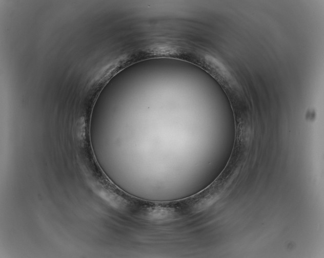 X0000090920549200707301535