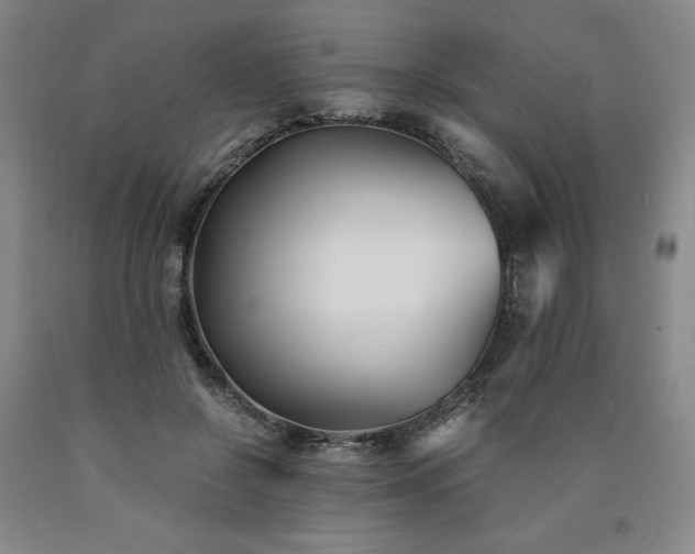 X0000090920550200707301535