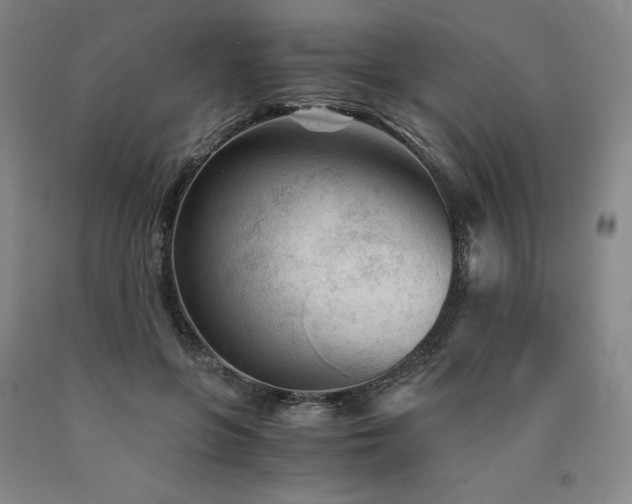 X0000090920551200707301535