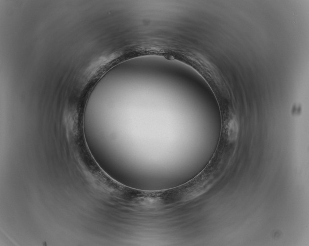X0000090920552200707301535