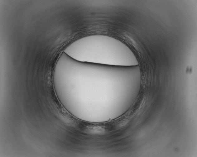 X0000090920553200707301535