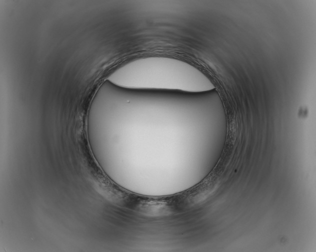 X0000090920554200707301535