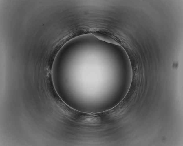 X0000090920555200707301535