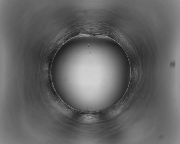 X0000090920557200707301535
