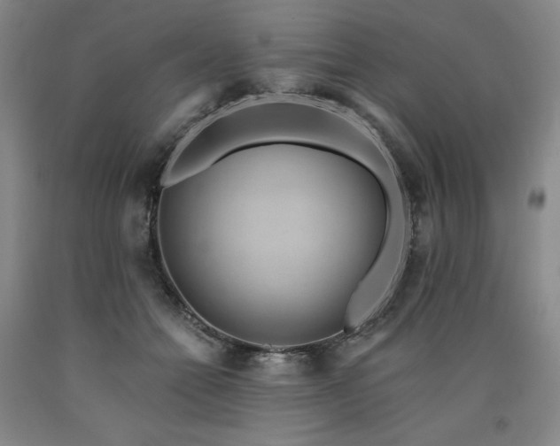 X0000090920558200707301535