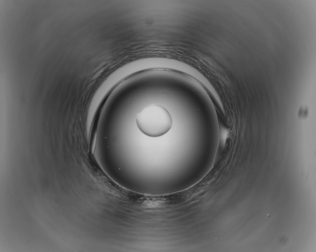 X0000090920560200707301535