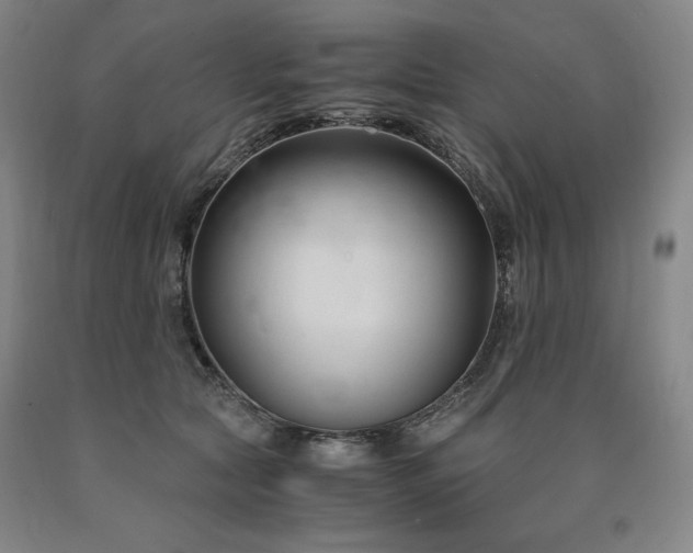 X0000090920561200707301535