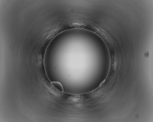 X0000090920563200707301535