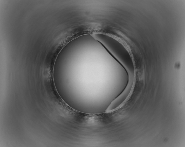 X0000090920564200707301535