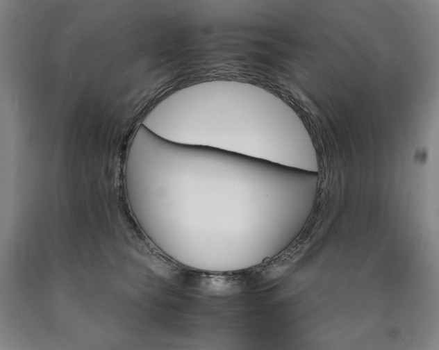 X0000090920565200707301535