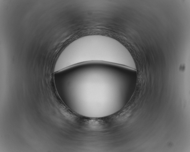 X0000090920566200707301535
