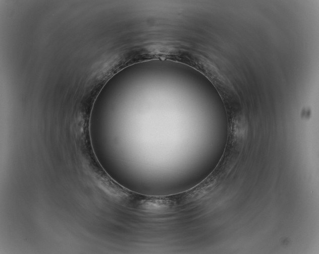X0000090920567200707301535