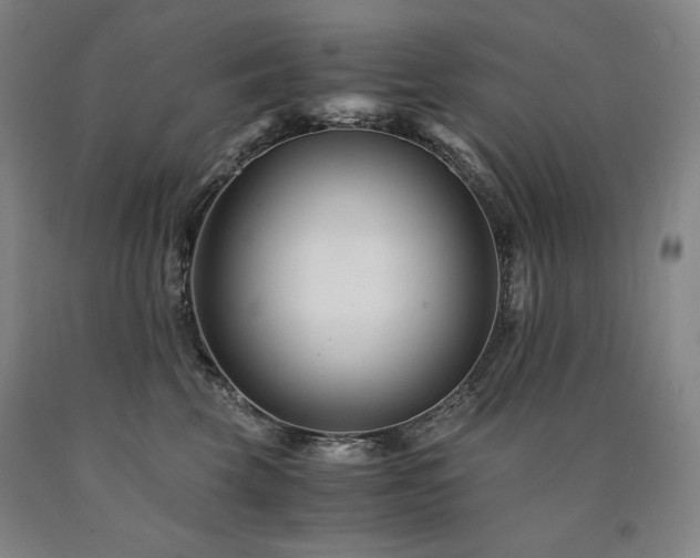 X0000090920569200707301535