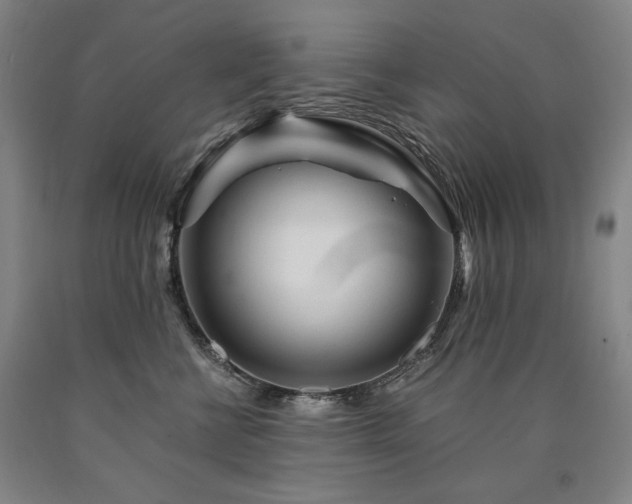 X0000090920570200707301535