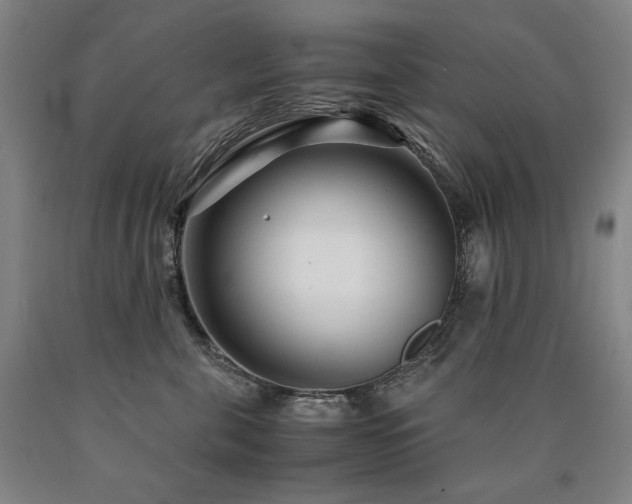 X0000090920571200707301535