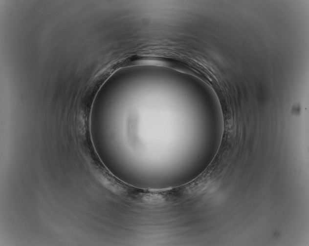 X0000090920572200707301535