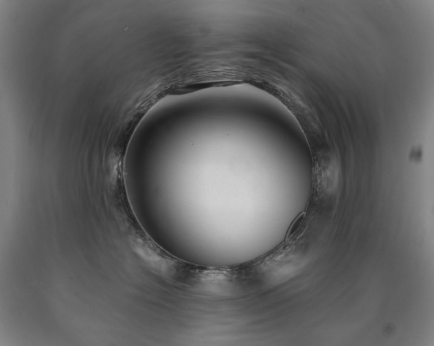 X0000090920574200707301535