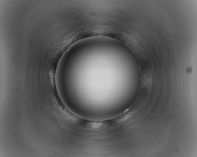 X0000090920575200707301535