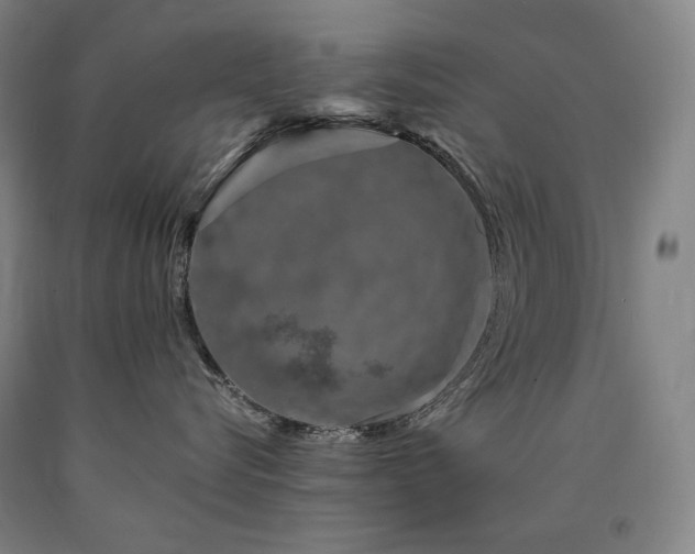 X0000090920576200707301535