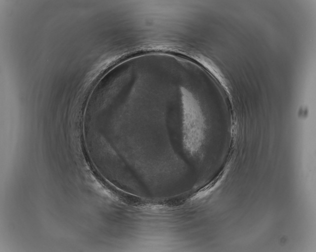 X0000090920577200707301535