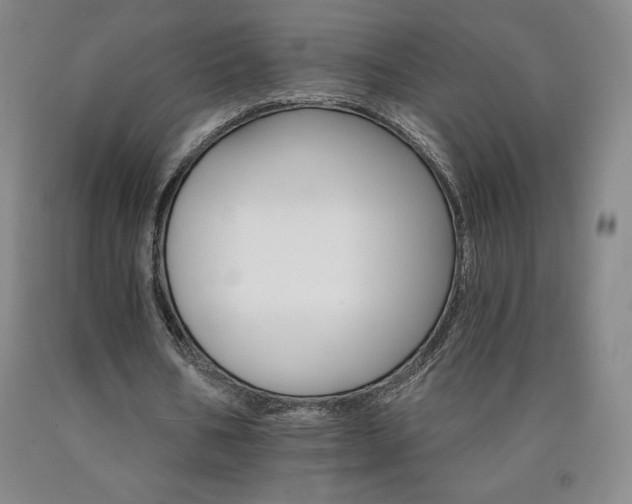 X0000090920578200707301535