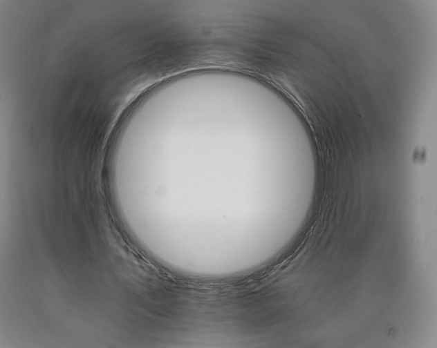 X0000090920579200707301535