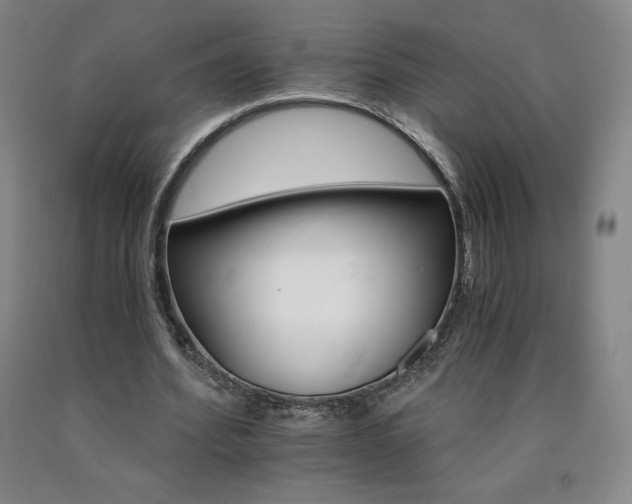 X0000090920580200707301535