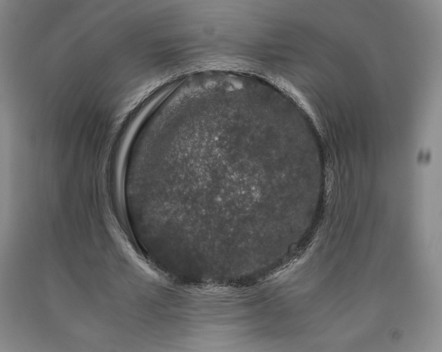 X0000090920581200707301535