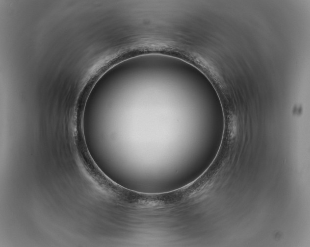 X0000090920582200707301535