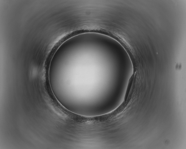 X0000090920584200707301535