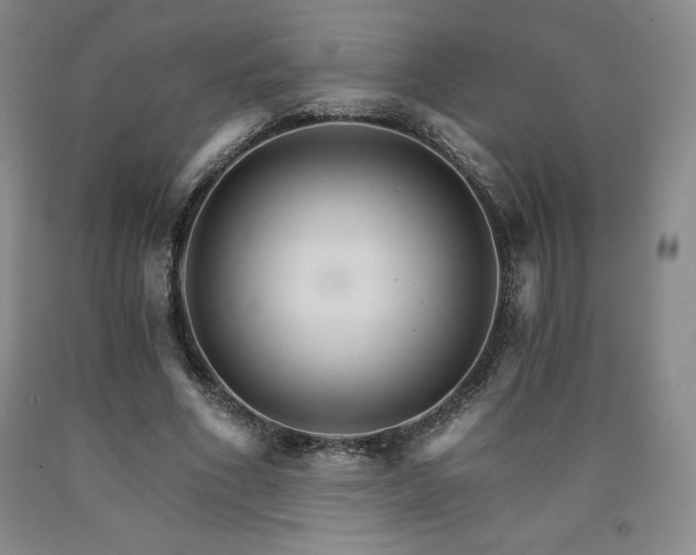 X0000090920586200707301535