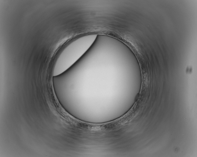 X0000090920587200707301535
