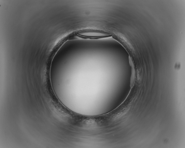 X0000090920588200707301535
