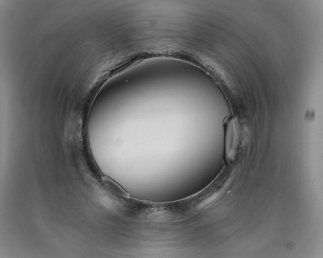 X0000090920589200707301535