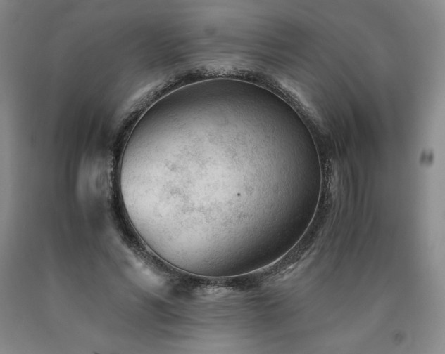 X0000090920590200707301535