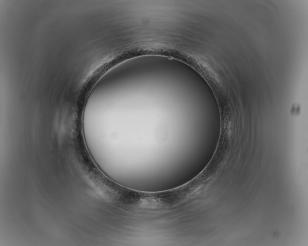 X0000090920591200707301534